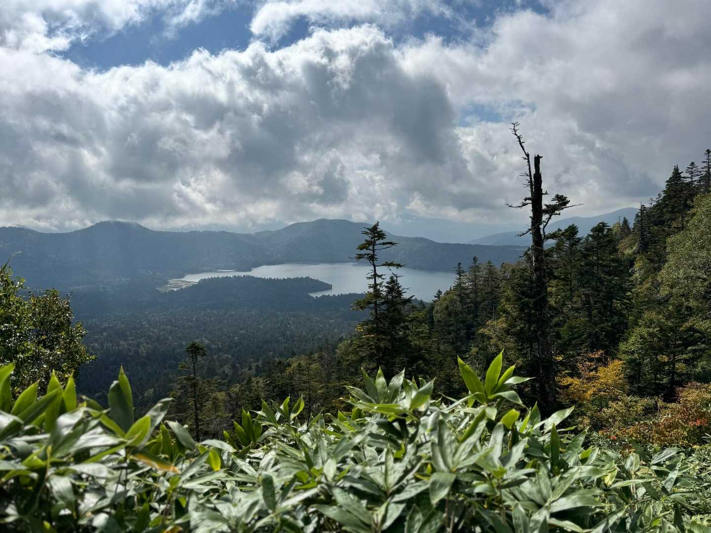 大清水バス停-三平峠-尾瀬沼-燧ヶ岳 往復コースの写真