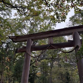奥社への入り口。
一礼してスタート。