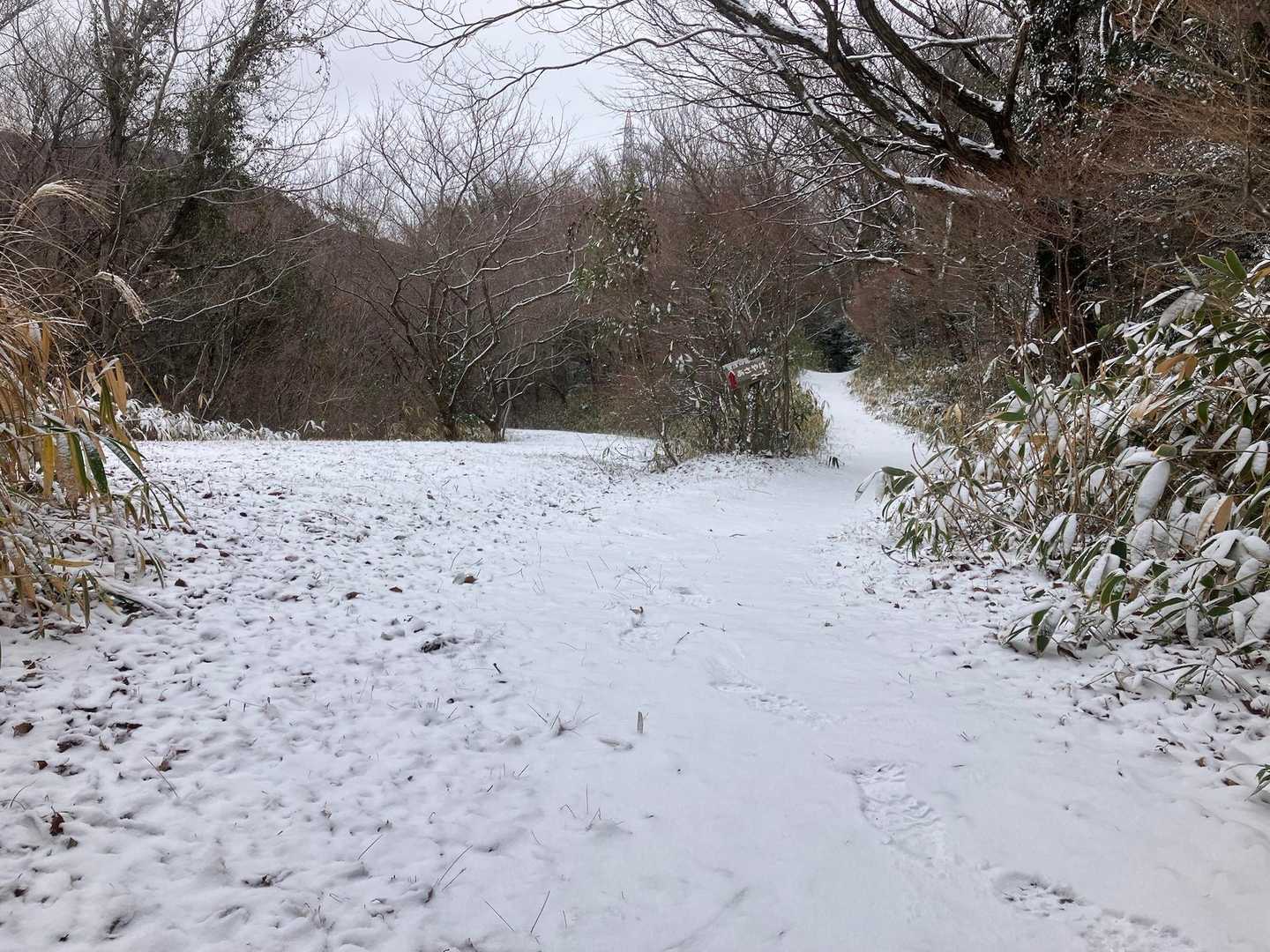 砥神山-御堂山 周回コースの写真
