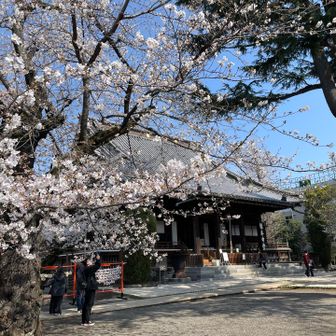寛永寺根本中堂