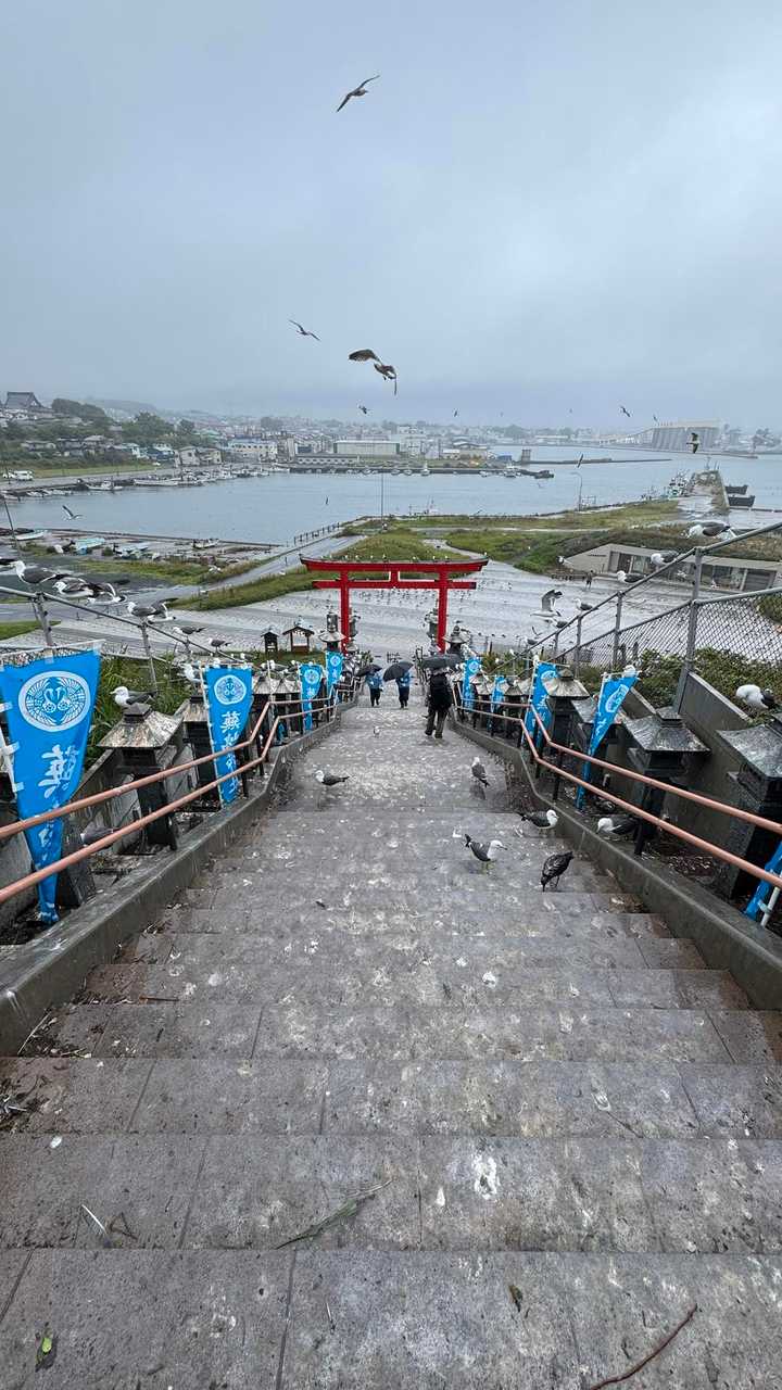 みちのく潮風トレイル（蕪島〜種差海岸）／青森遠征Day2 の写真 7