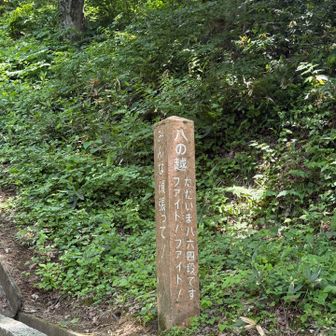 八の越
ただいま八六四段です　ファイト！ファイト！
みんな頑張って！　😩ﾑﾘ