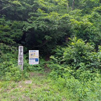 ソロ登山なので、何か不安を感じる雰囲気です。