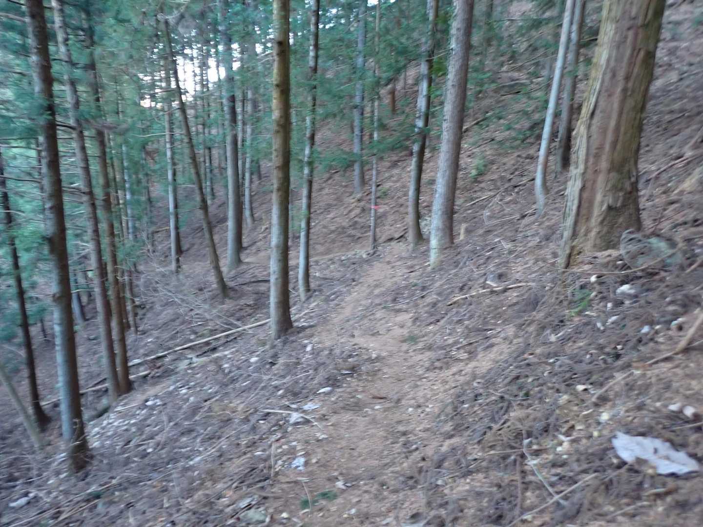 途中で誰にも会いませんでしたが歩きやすいコースです。