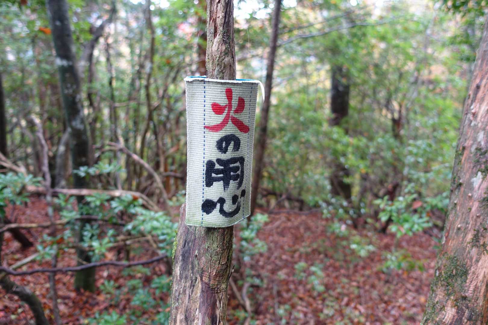 静岡らしいのありました