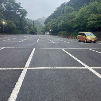下道ぶっ飛ばして3時間24時ごろに到着
雨降ってるやん
とりあえずふて寝　雨音BGMを聞きながら爆睡
朝には止むと思ってたのに…全然やまず☔️😂
5時20分に出発🚗💨
駐車場には車1台だけ。結局、誰にも会わない
🦌にはたくさん会えたけど静かなお山でした🌿

帰りは黄色いポストに500円を入れて駐車場代をお支払いしました📮💰