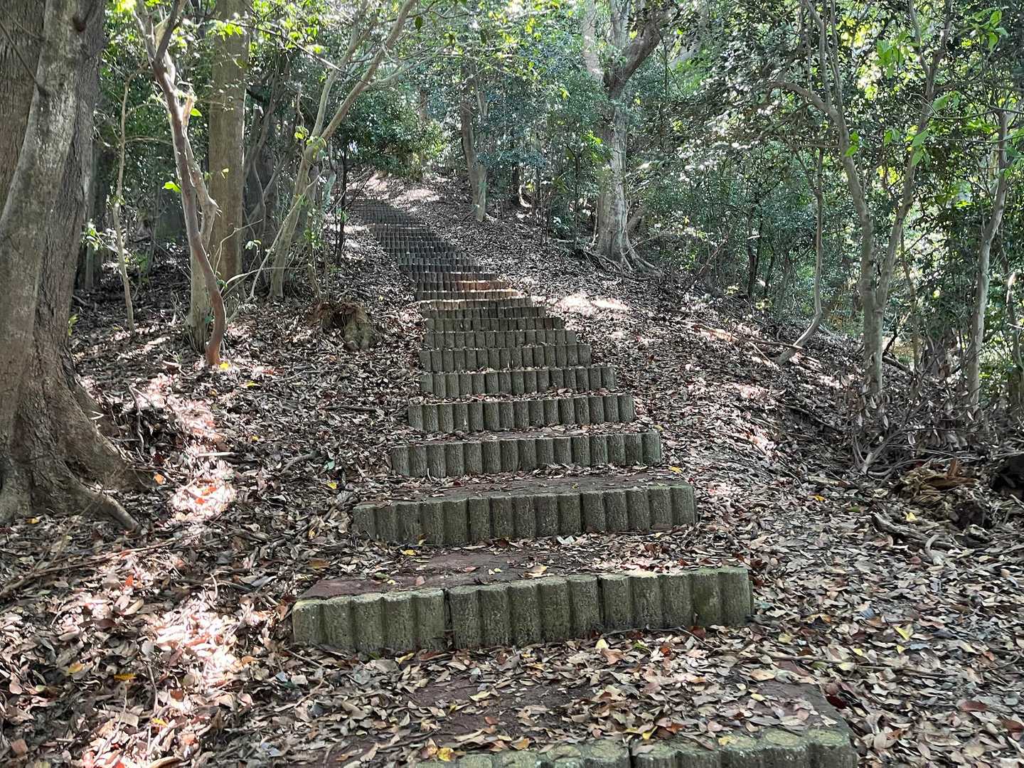 そーでした、そーでした😑

帰りは延々と登りです😭