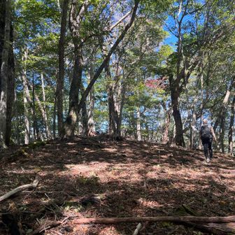 結局、山名板などは見当たりませんでした
静かでとても素敵な山頂でした
しばし休憩☕️