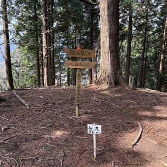 桜丸（標高 817）通過
