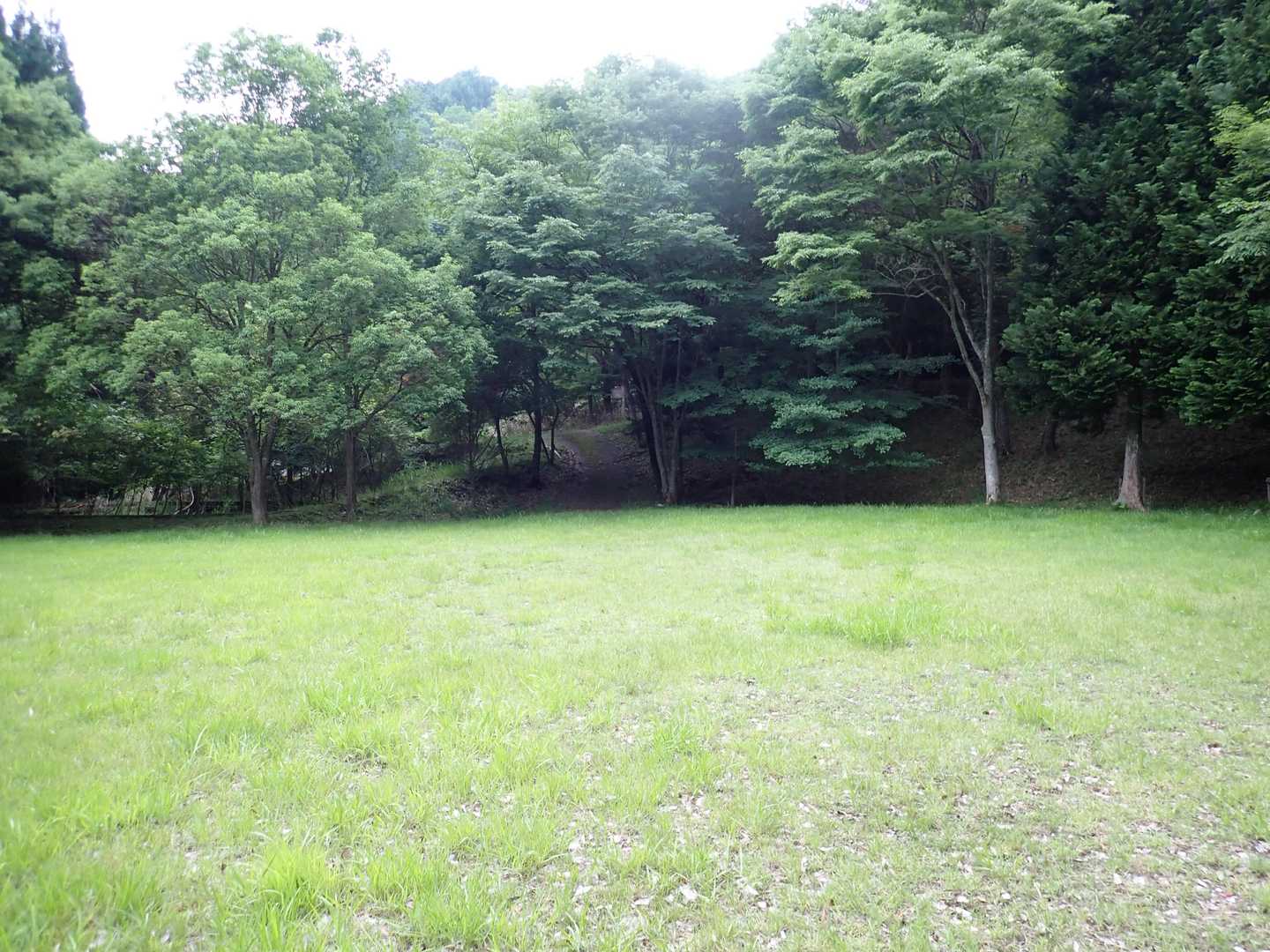 広場の奥に登山道の入口👣