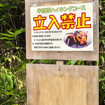 なんと！半面山方面スズメバチ🐝で立入禁止じゃないですかー。
黒服だし刺されるのは勘弁なので諦めまっする。