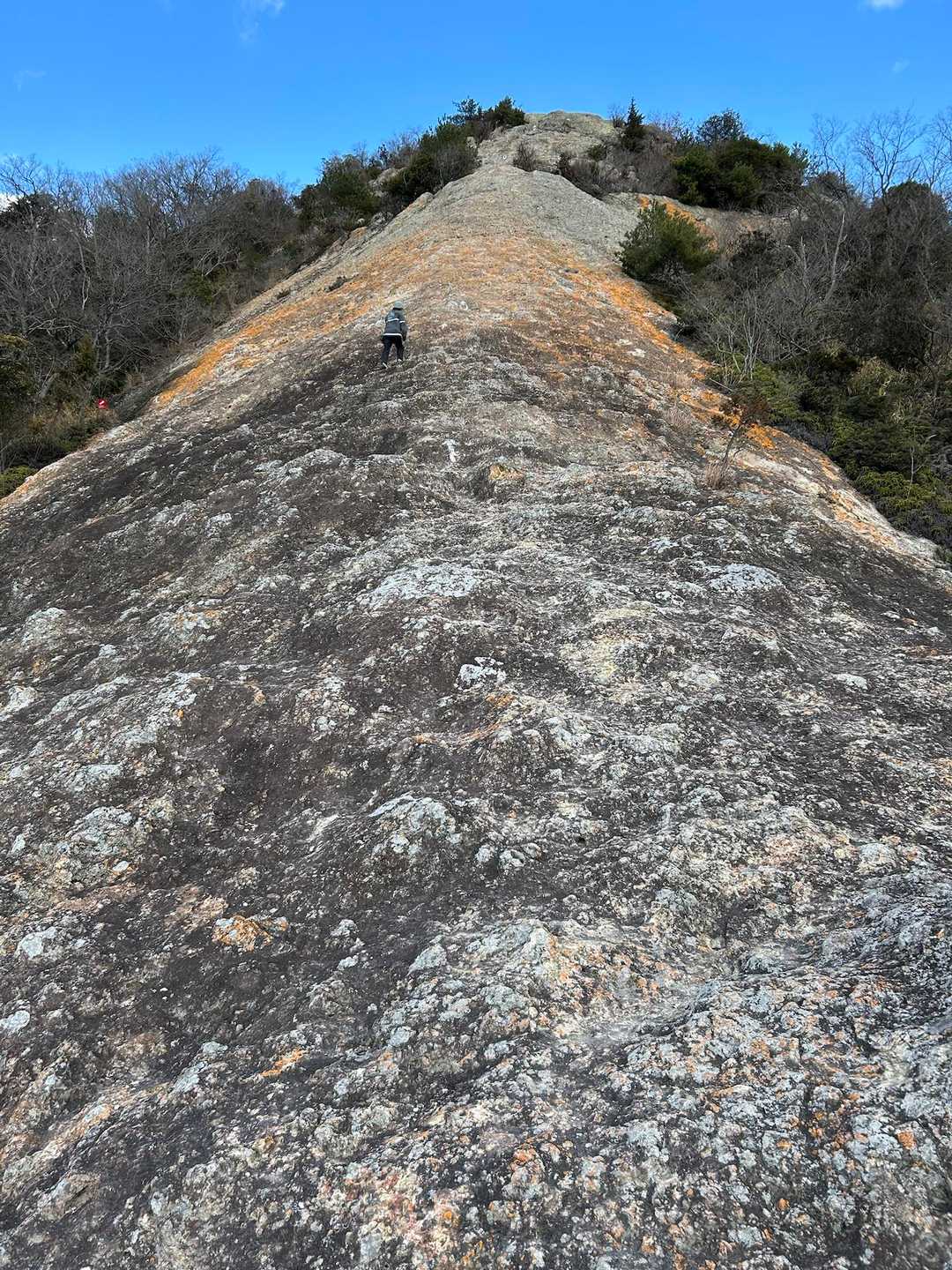 紅山、下から眺める😙