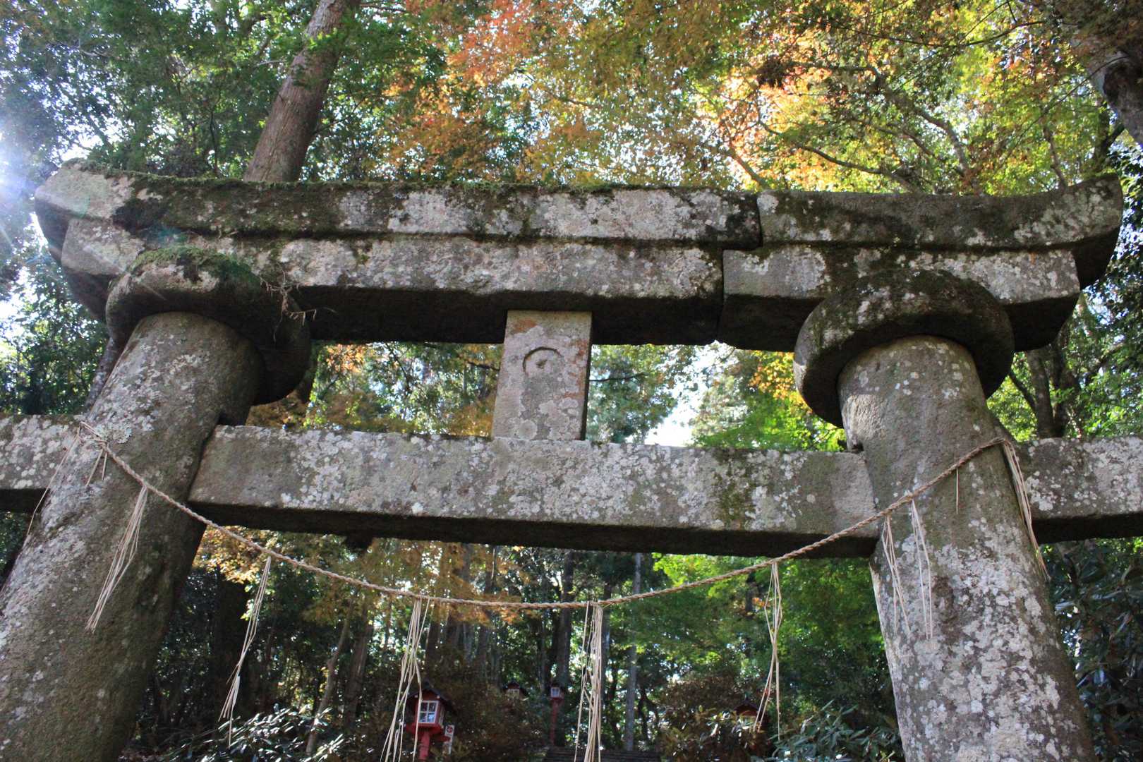 檜原山 往復コースの写真