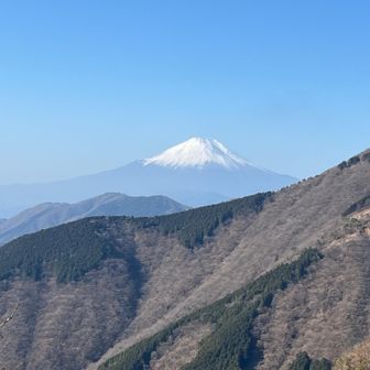 またまた富士山。
今日はやや霞あるもはっきり見えます。
来て良かったです。