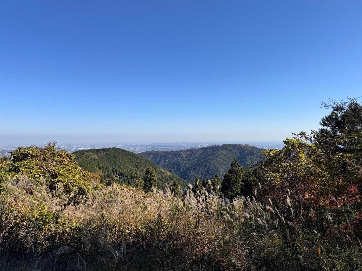 高尾山-城山 往復コースの写真
