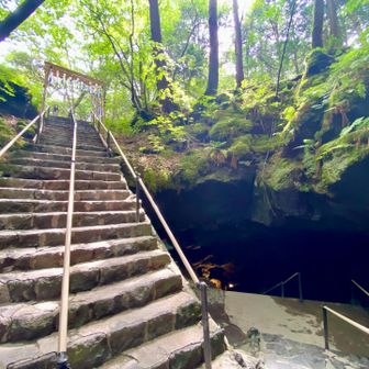 外の暑い空気がお出迎え