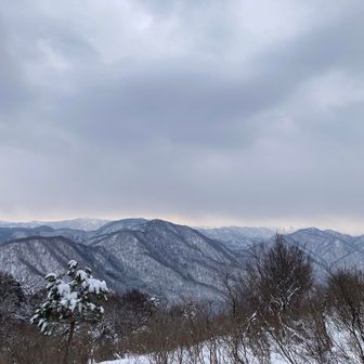 奥は白木と金剛かな？
