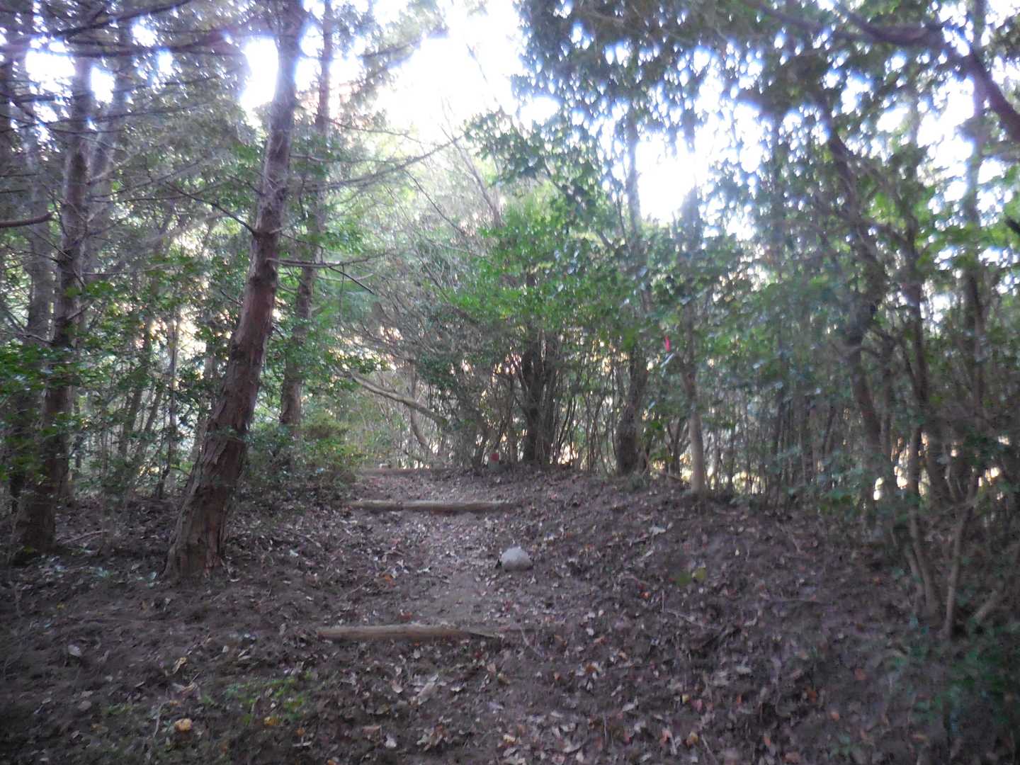 牡丹山（ぼたんやま 452ｍ）山頂。
山頂を示すものは見当たらず...。
※眺望無し。
