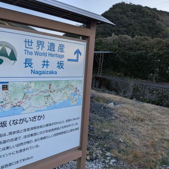 さあ、いよいよ長井坂へ突入しますよ