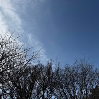 青空見えてきた✌️