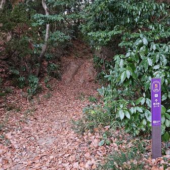 お初のコース
本日一番乗りです😂