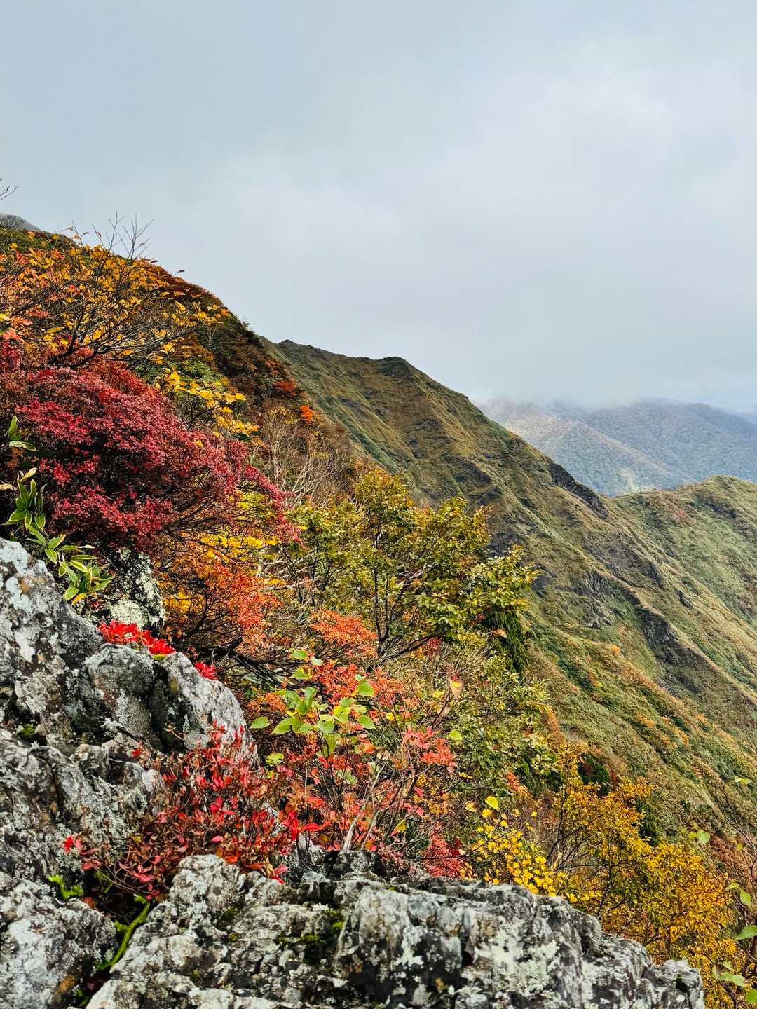 登山入口-熊穴沢ノ頭-天狗の留まり場 往復コースの写真