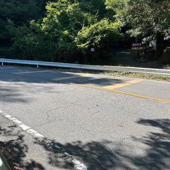 下りてくるところを把握してなかった
ここからは道路を走る💨