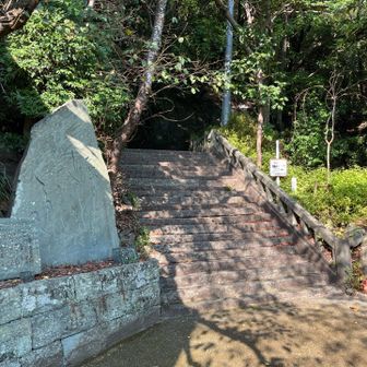 阿波踊り会館の隣の神社脇からスタート。最初は階段。