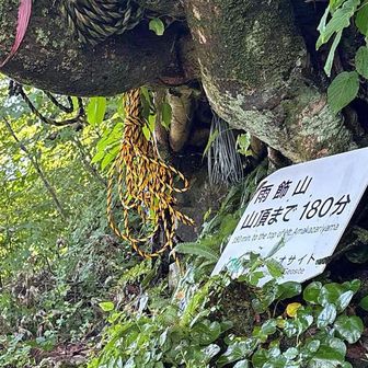 雨飾山 山頂まで180分