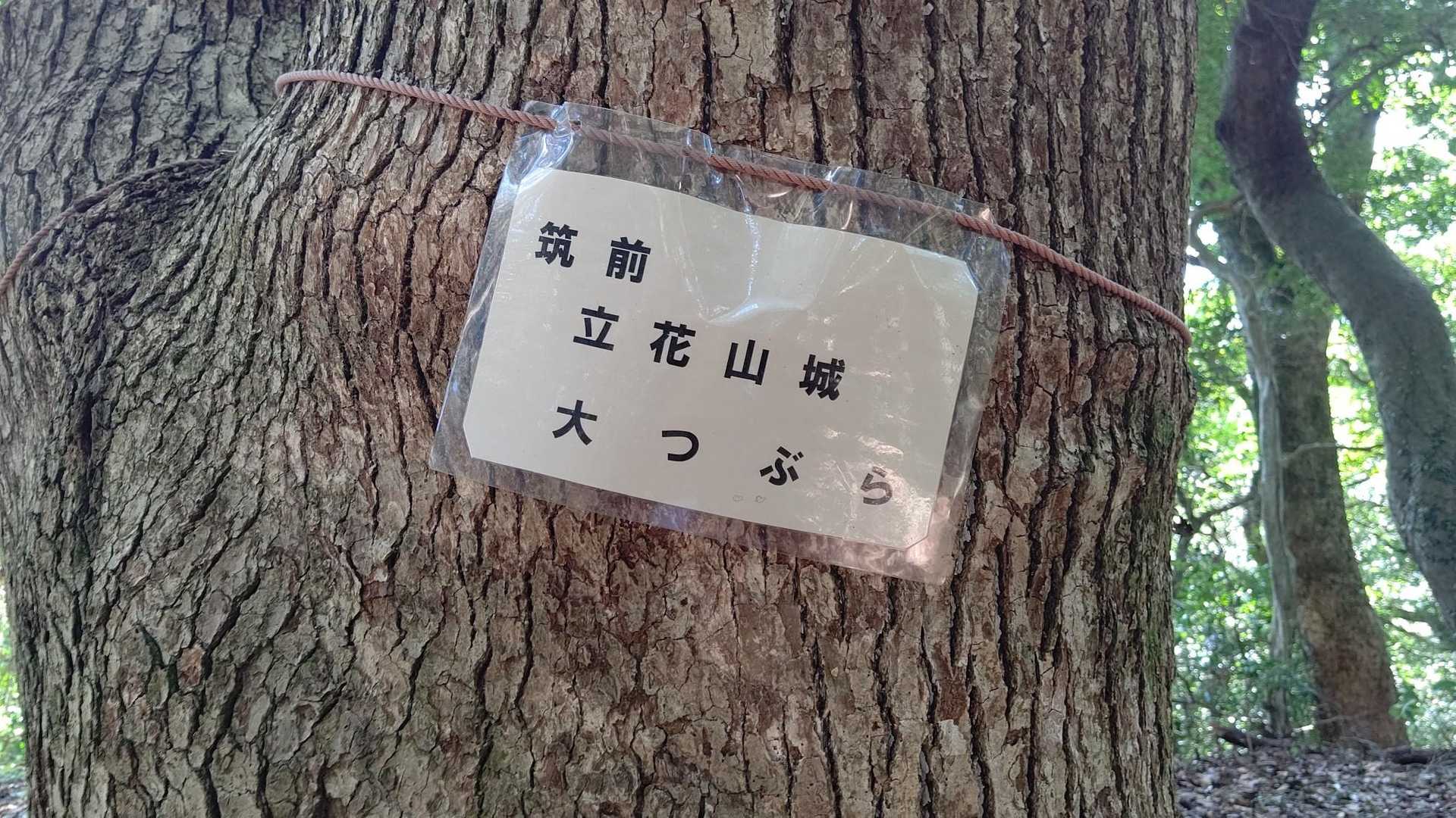 山頂眺望は有りませんので😅ここは開けてました。