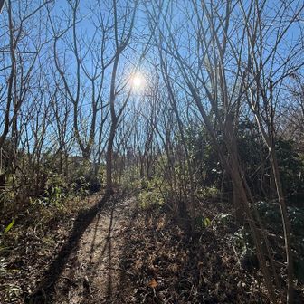 不思議な感じの桔梗山頂。