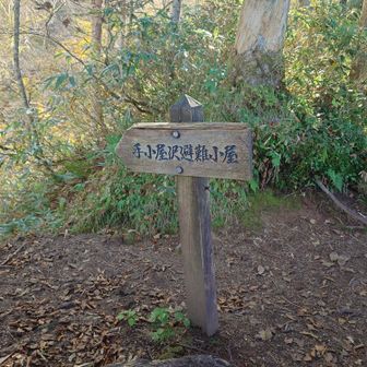 避難小屋はこの下です↓
崖みたいになってますが、避難するのも一苦労しそうでした^^;