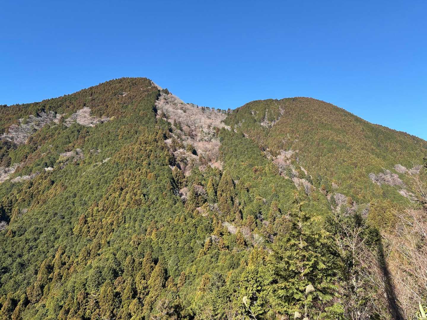 ここから見る竜爪山は相変わらずカッコいい👍