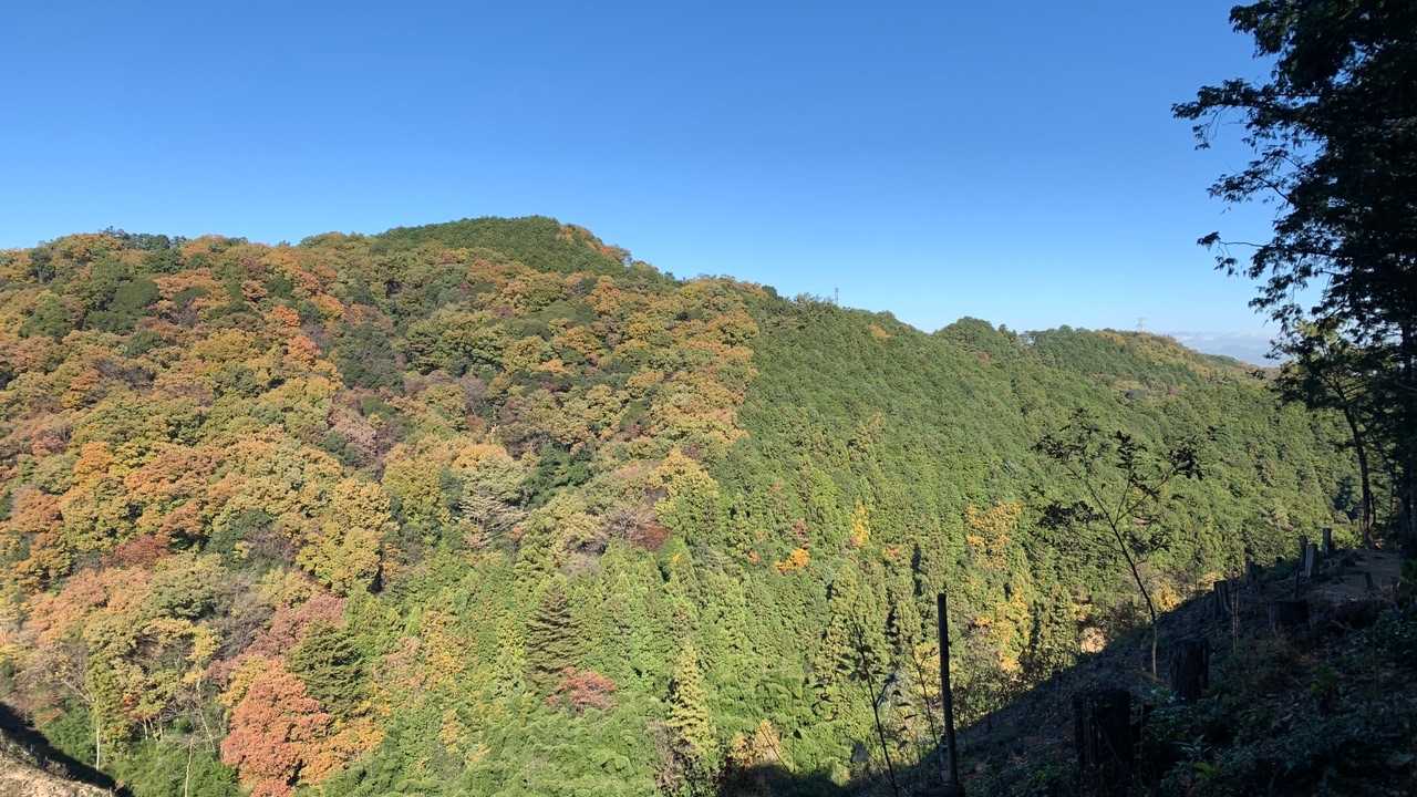 物見山-小瀬名富士-スカリ山-エビガ坂 周回コースの写真