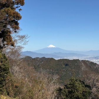 富士山もよく見えますね