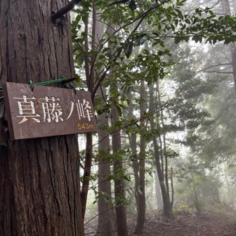 真藤ノ峰543m山頂！✨