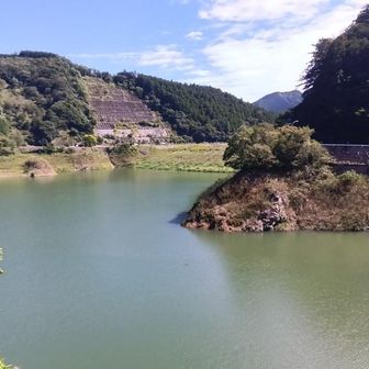 白谷沢登山口は名栗湖の横。茶色い鴨と鵜がいました。