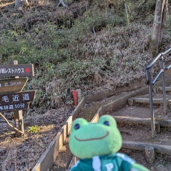 久しぶりのイタツミ尾根
さぁ、大山へ参りましょう