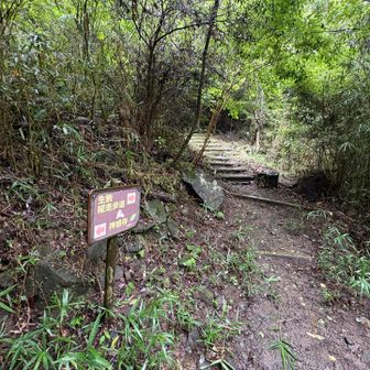生駒縦走歩道を歩く