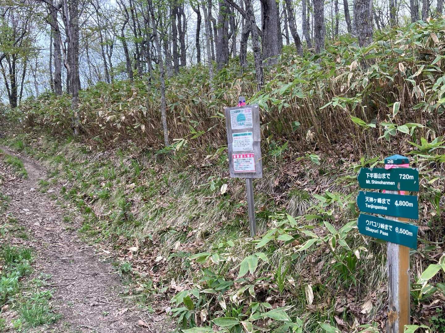 分岐から右へ

SEGAさんとは
昨秋、三頭山を歩いた際
お喋りに夢中になり
登山なのに
ずっと下っていた事があります
しばらくして気がつきました😂
それからはルートを
まめにチェックしてくれるSEGAさん
ありがとうございます😊



