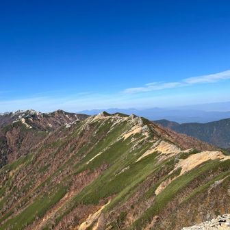 大天荘に向かう稜線から見えた山々⛰️✨
