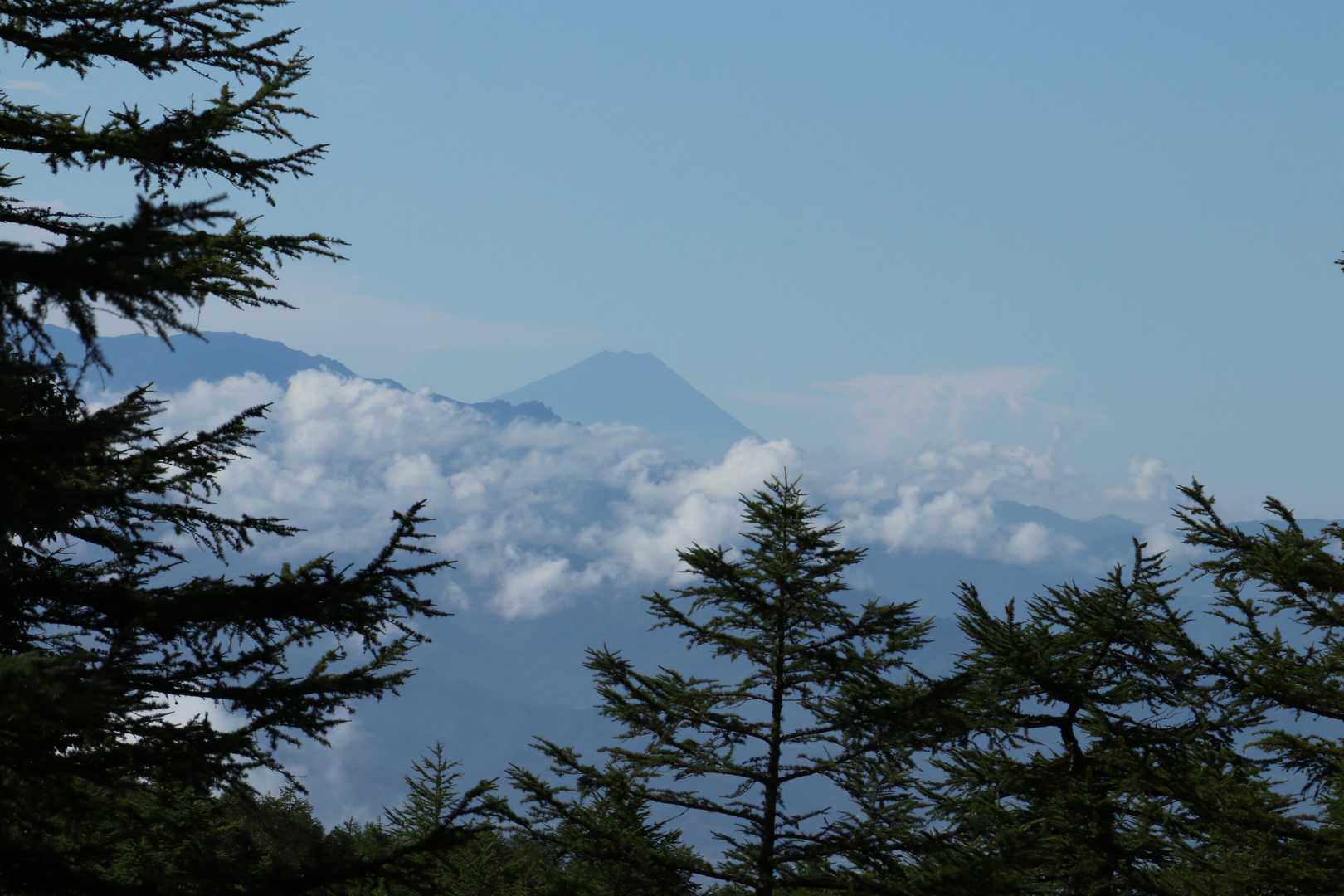 今日は富士山、見えた❗️
でも、なんとなくすぐに隠れてしまう予感が