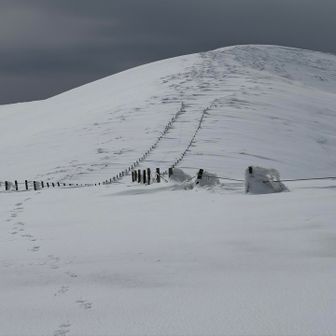 シャクナゲコース