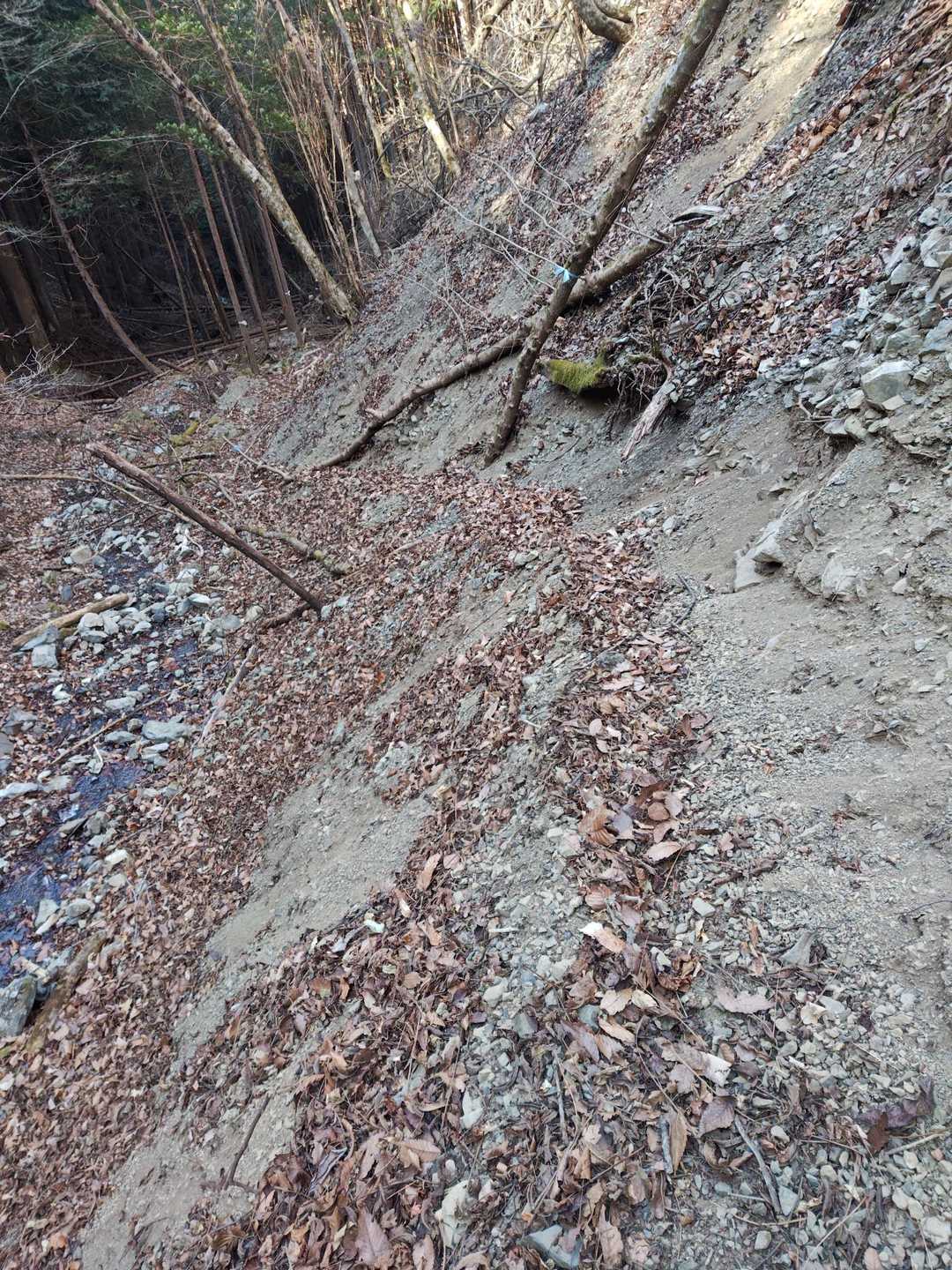 右の落ち葉の道が登山道である。極めて不安定