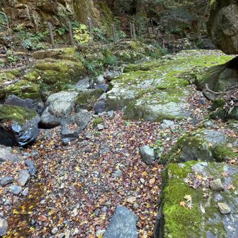 岩場を渡って自然歩道へ戻り