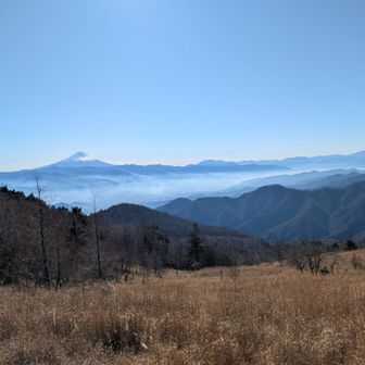 富士山びゅー