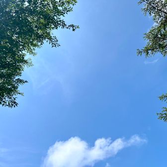 頭上は青空