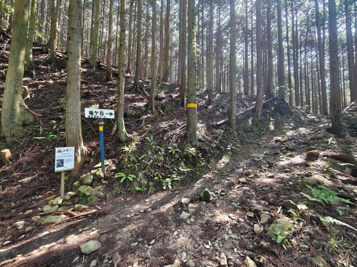 遠足尾根の登山口。
尾根に出るまで大変だけどそのあとはパラダイスです。