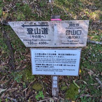 落合方面から林道に入り、天狗峠登山口からピストンで登る予定でしたが、林道途中に全面通行止の看板があり、どうしようか迷いました。

バリケードが半分だけでしたので行けるところまで行ってみようと前進継続。

天狗峠登山口の大分手前に車を停めて、歩いて進むと、重機が道のど真ん中で作業していました。

こちらに気づいてもらえず通れなかったので、手前の亀尻峠登山口から登ることに。