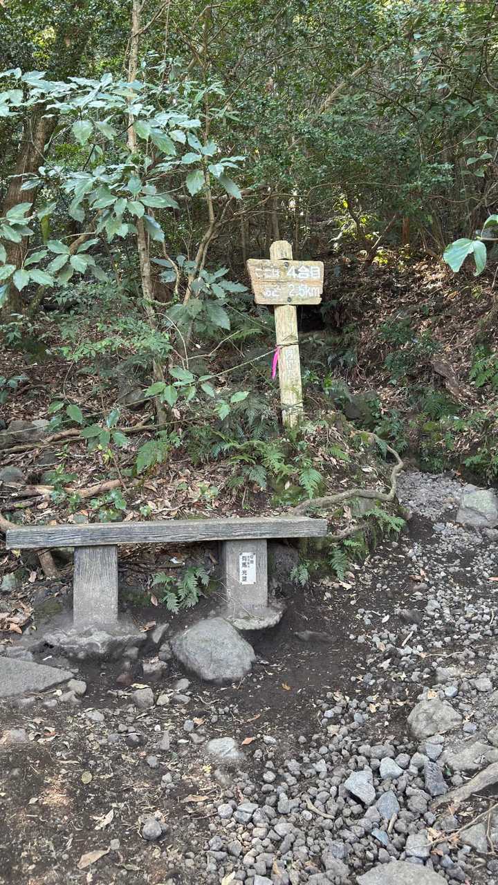 開聞岳、早春の薩摩富士／鹿児島遠征Day1 の写真 6